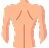 back-icon